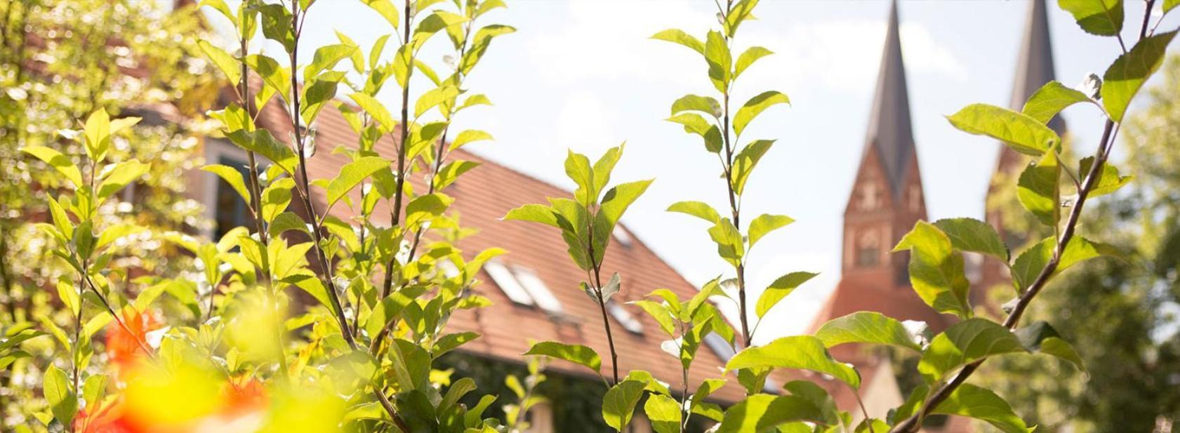 Up Hus Hotel Neuruppin Exterior photo